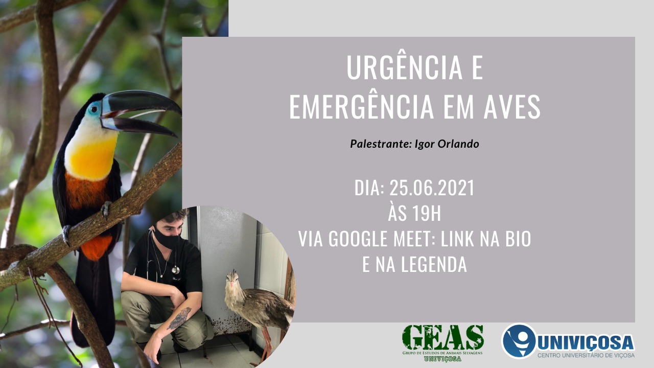 Banner - Evento