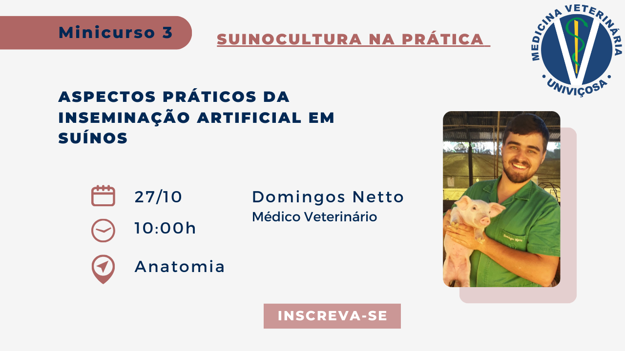 Banner - Evento