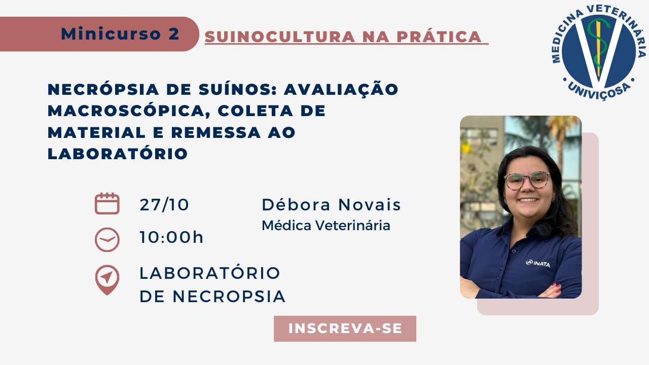 Banner - Evento