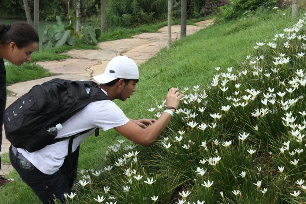 Gestão Ambiental Gestão Ambiental